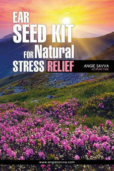 Angie Savva's Ear Seed Kit for Natural Stress Relief